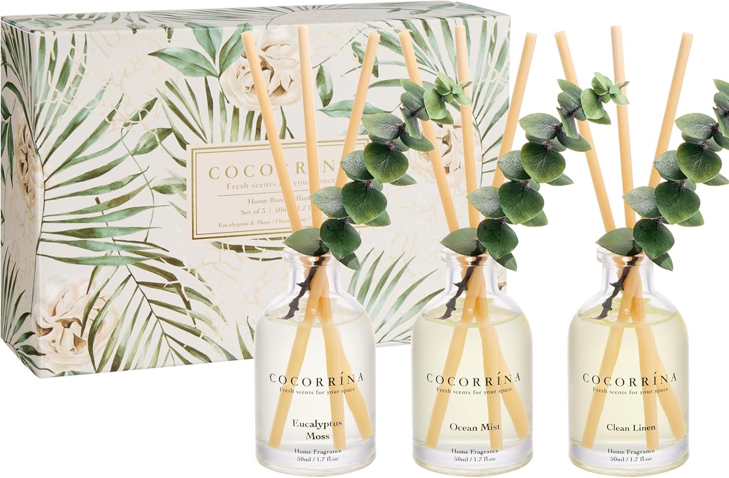 COCORRÍNA Eucalyptus Reed Diffuser Set of 3 – Eucalyp...